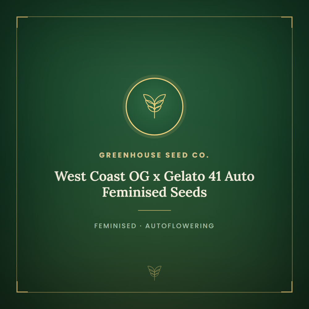 GH-WCOGGEL41-AUTO-FEM-1000x1000-0.png