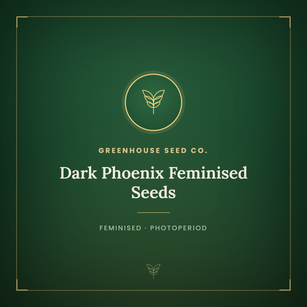 GHDARKPHOENIX-1000x1000-0.png