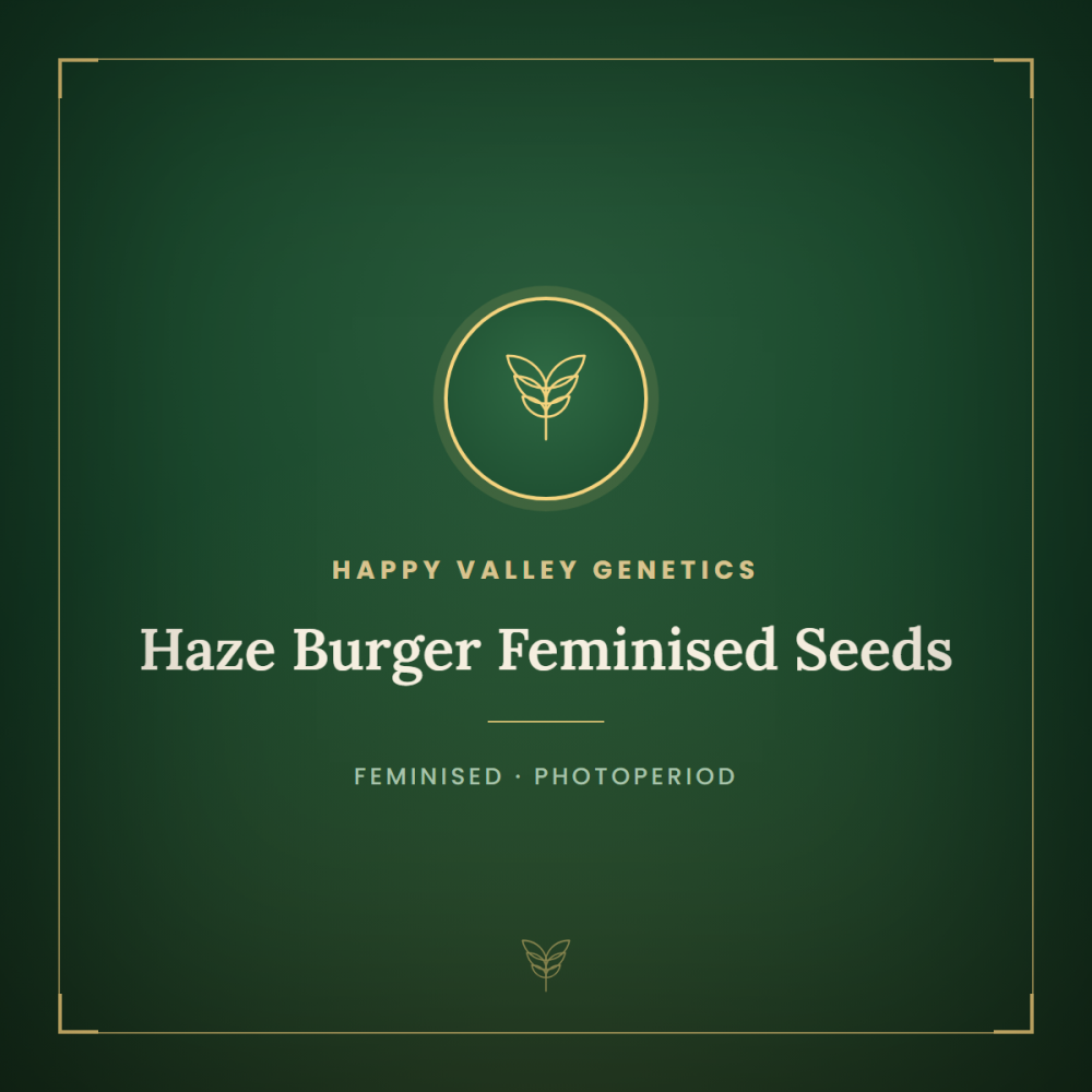 HAVG-HABU-FEM-1000x1000-0.png
