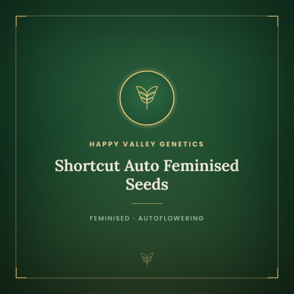 Shortcut Auto Feminised Seeds
