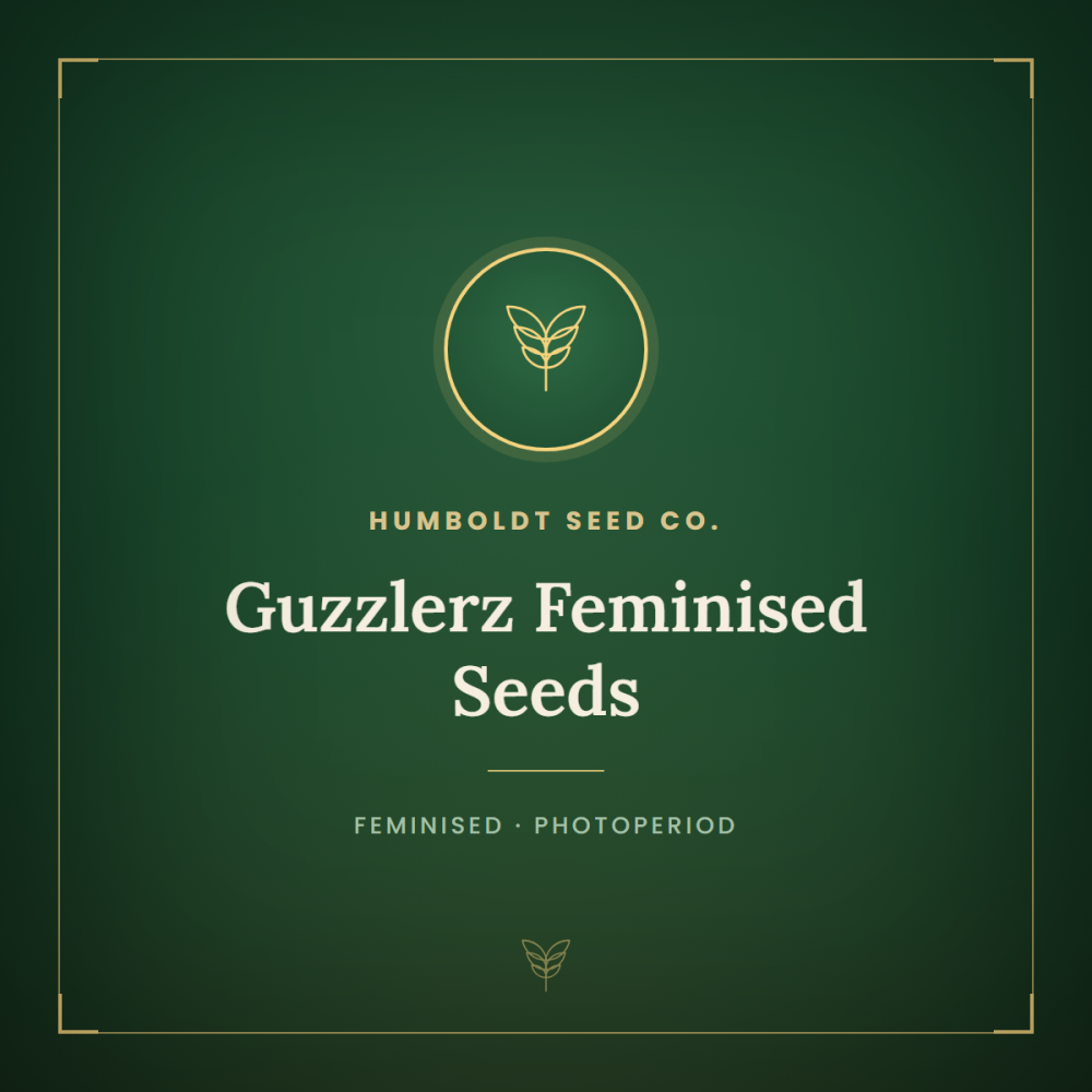 HUMB-GUZ-FEM-1000x1000-0.png
