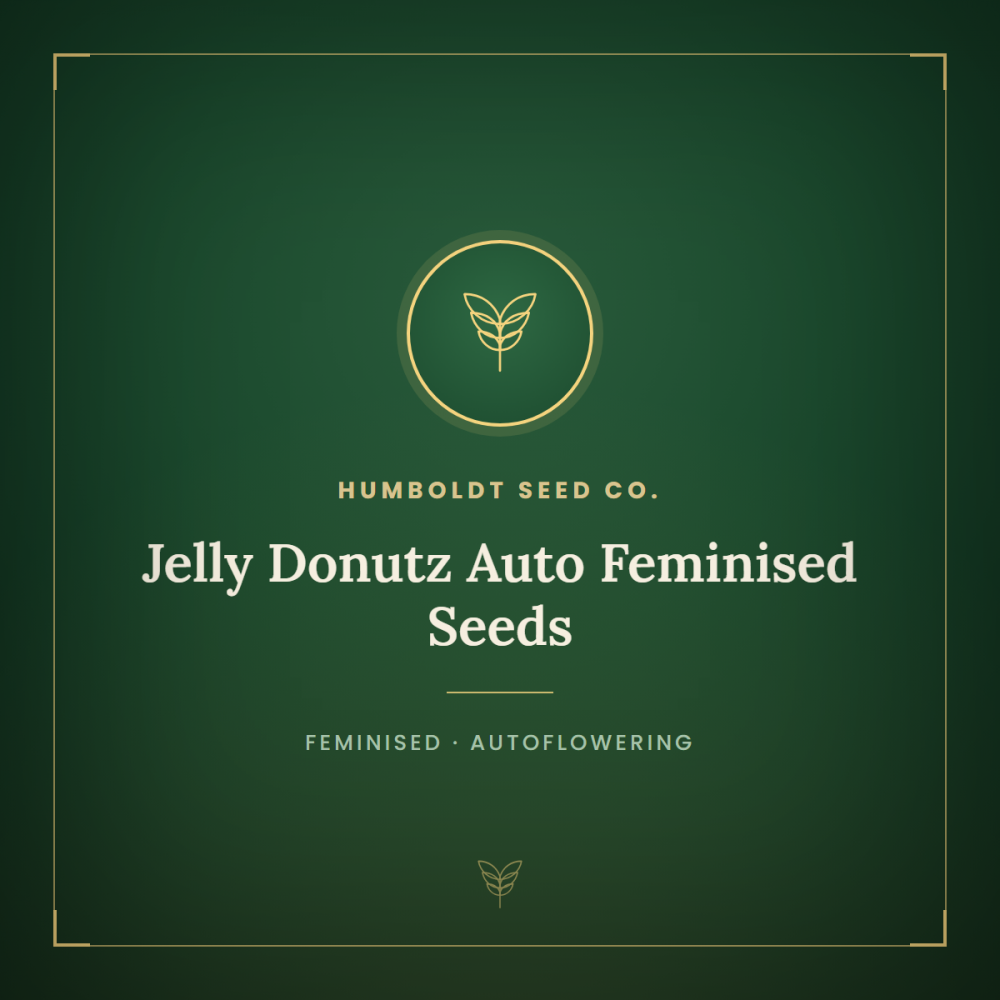 HUMB-JDNTZ-AUTO-FEM-1000x1000-0.png