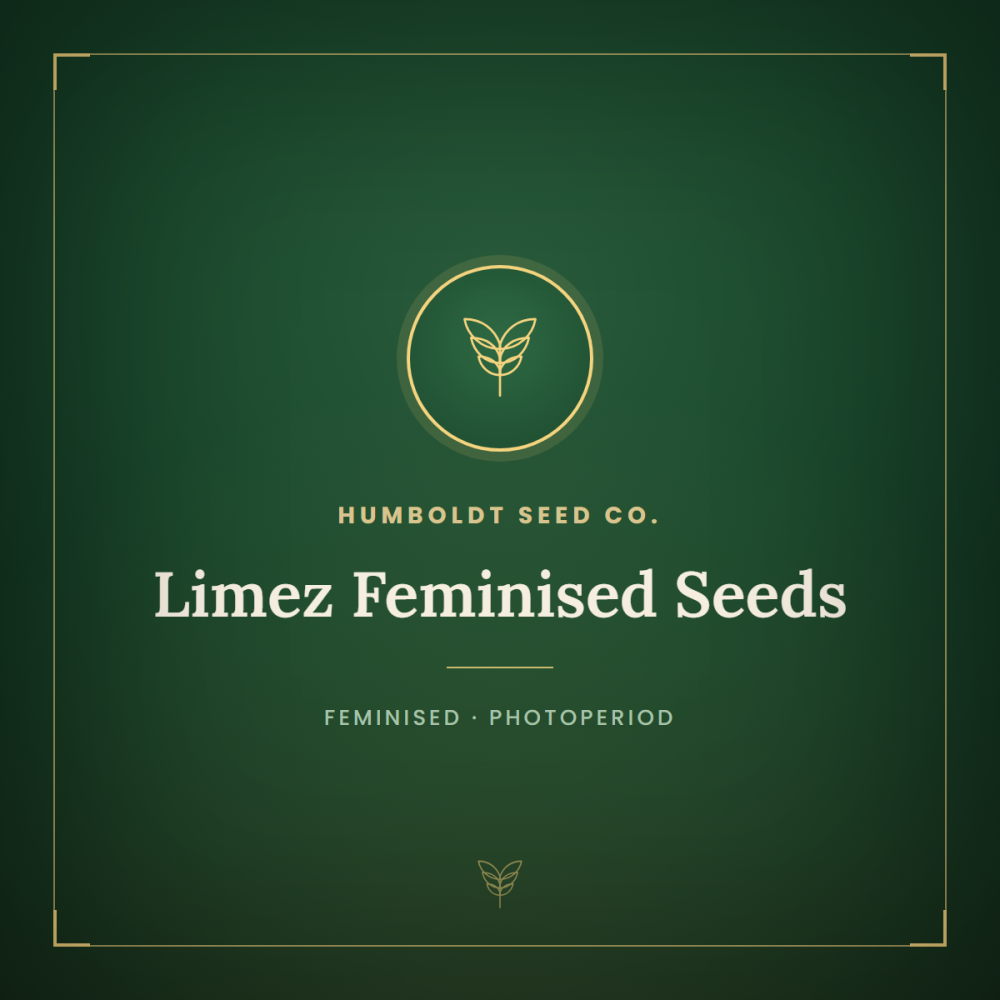 HUMB-LIME-FEM-1000x1000-0.png