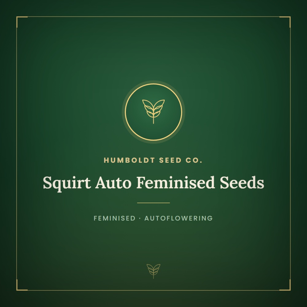 HUMB-SQA-F-1000x1000-0.png