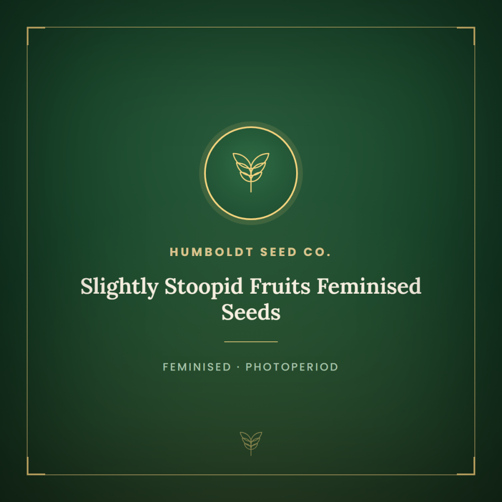 HUMB-SSF-F-1000x1000-0.png