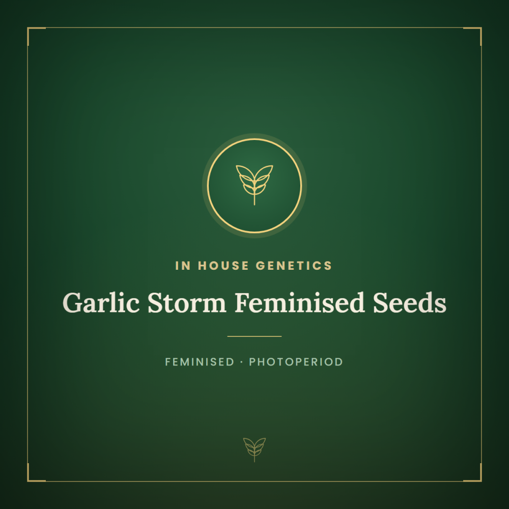 IHG-GAST-FEM-1000x1000-0.png