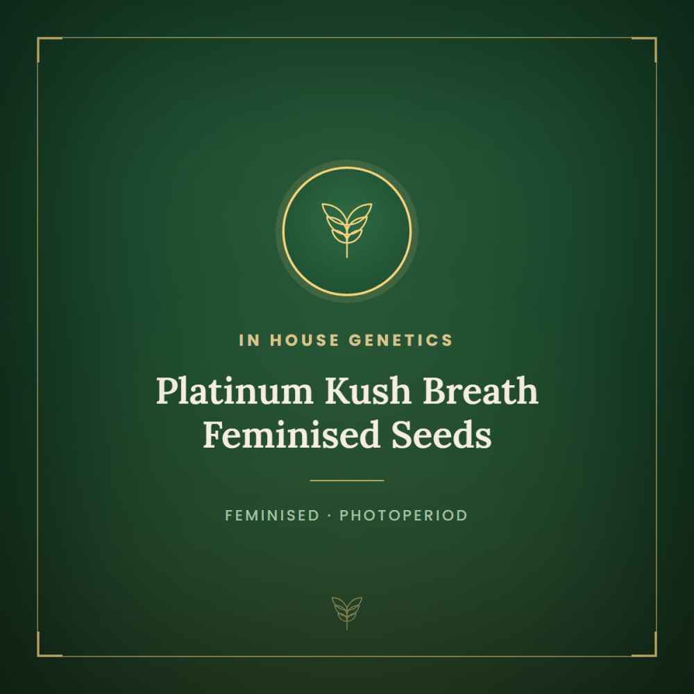 IHG-PLKB-FEM-1000x1000-0.png