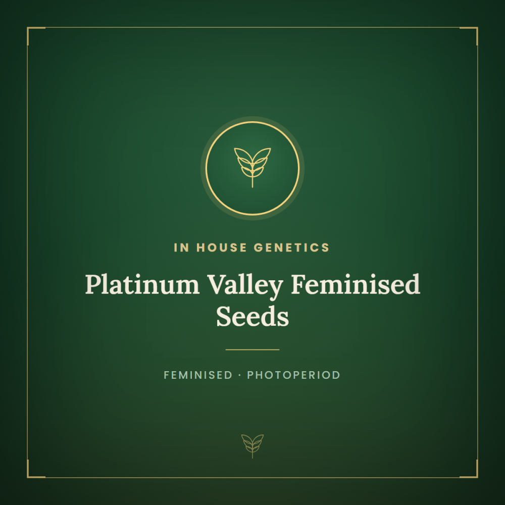 IHG-PLVA-FEM-1000x1000-0.png