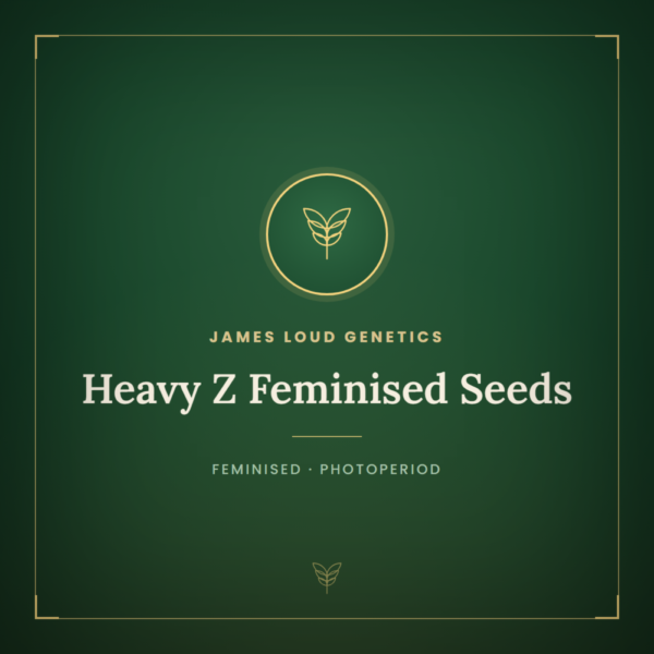 Heavy Z Feminised Seeds