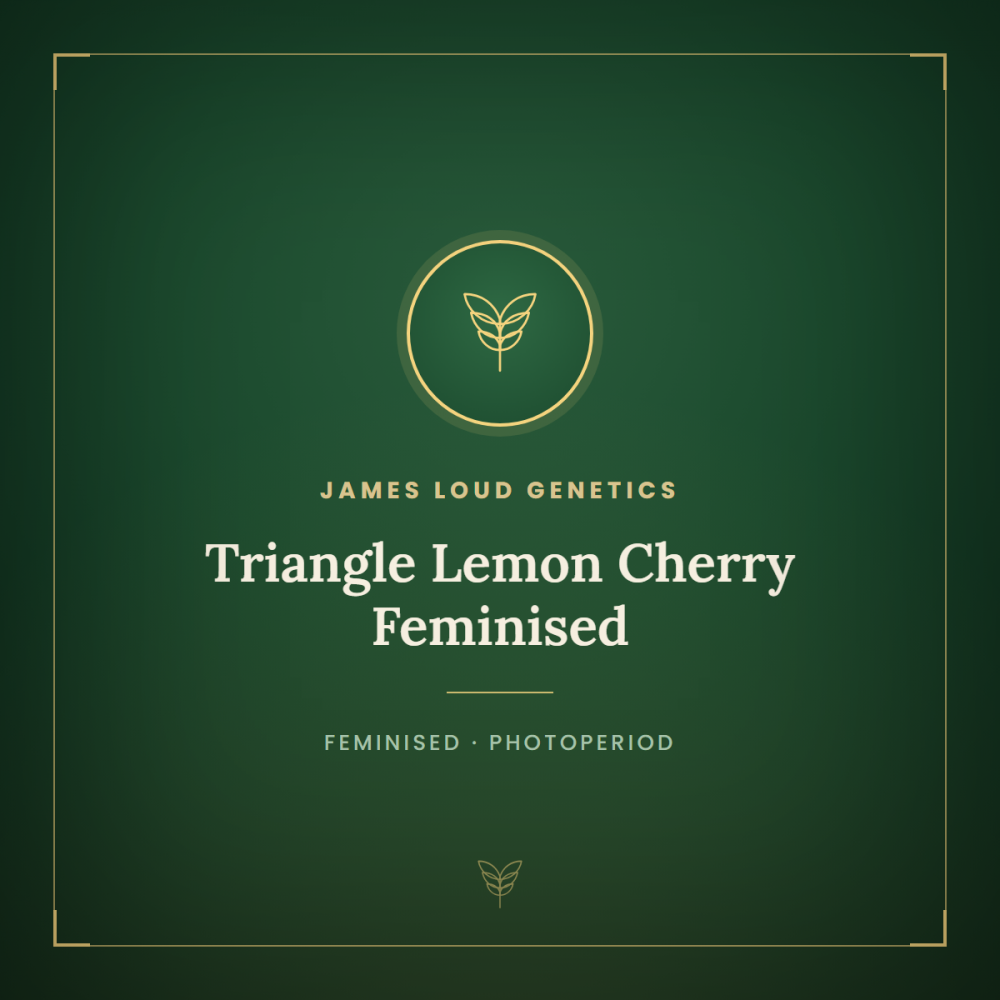 JLG-TLCH-FEM-1000x1000-0.png