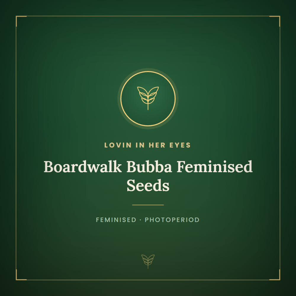 LIHE-BOBU-FEM-1000x1000-0.png