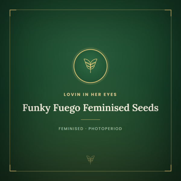 Funky Fuego Feminised Seeds
