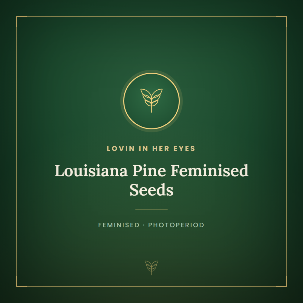 LIHE-LOPI-FEM-1000x1000-0.png