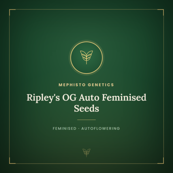 Ripley's OG Auto Feminised Seeds