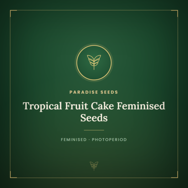 Tropical Fruit Cake Feminised Seeds