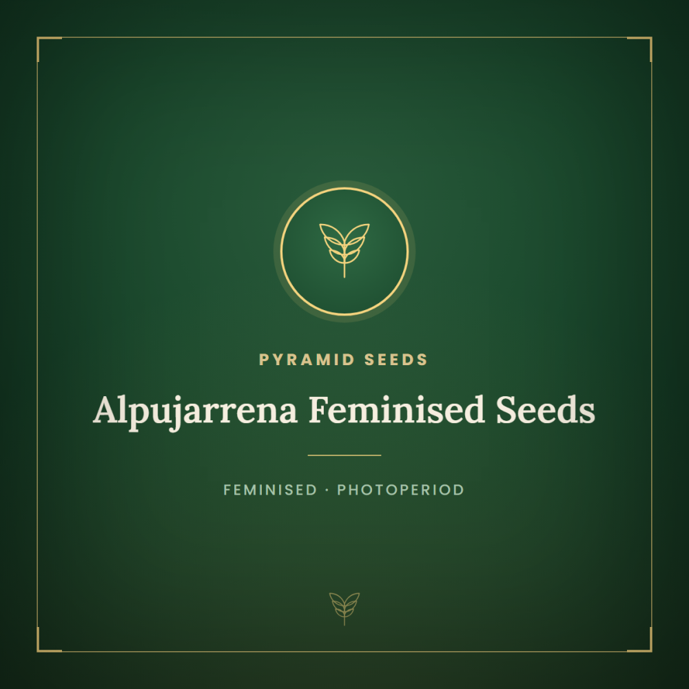 PYR-ALP-FEM-1000x1000-0.png