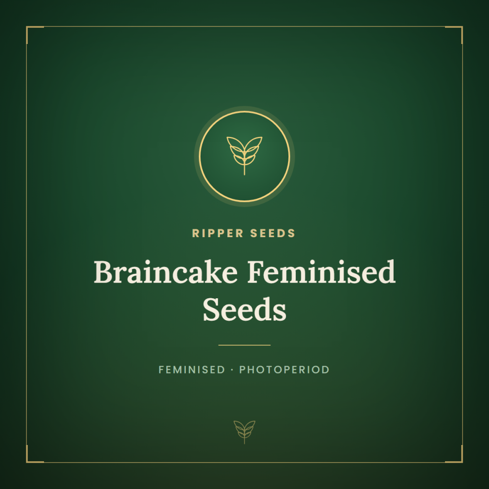RIPP-BRCAKE-FEM-1000x1000-0.png