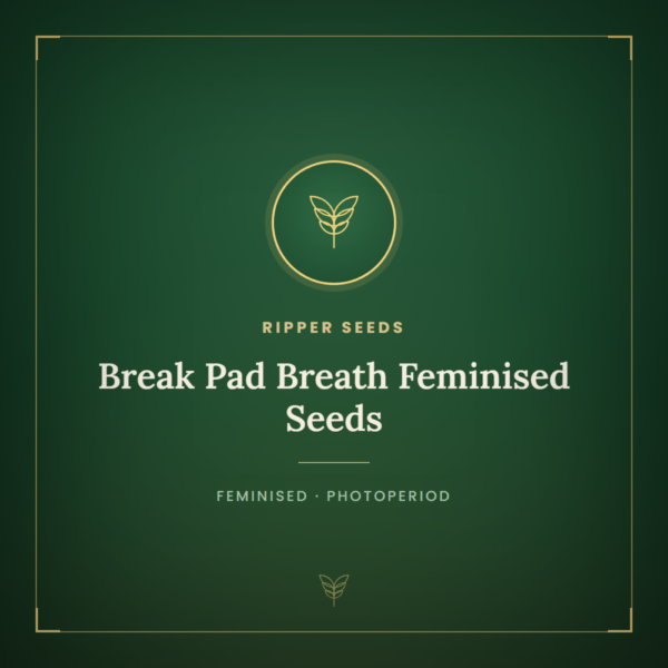 Break Pad Breath Feminised Seeds
