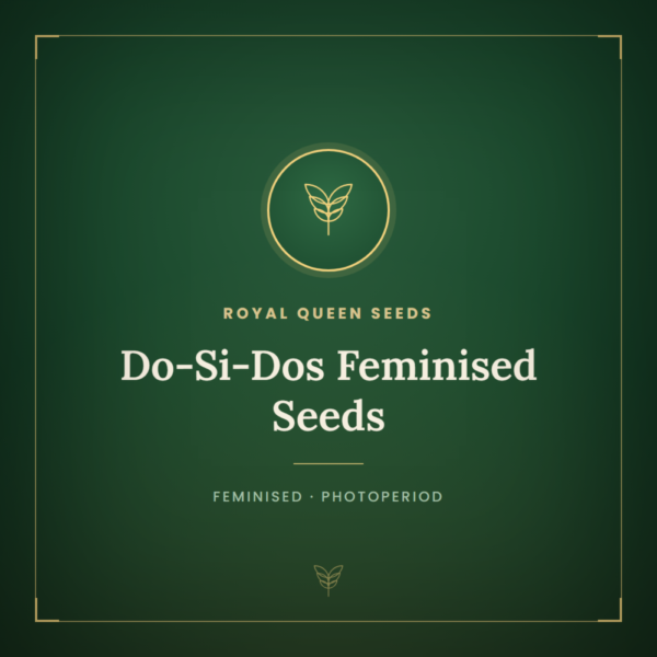 Do-Si-Dos Feminised Seeds