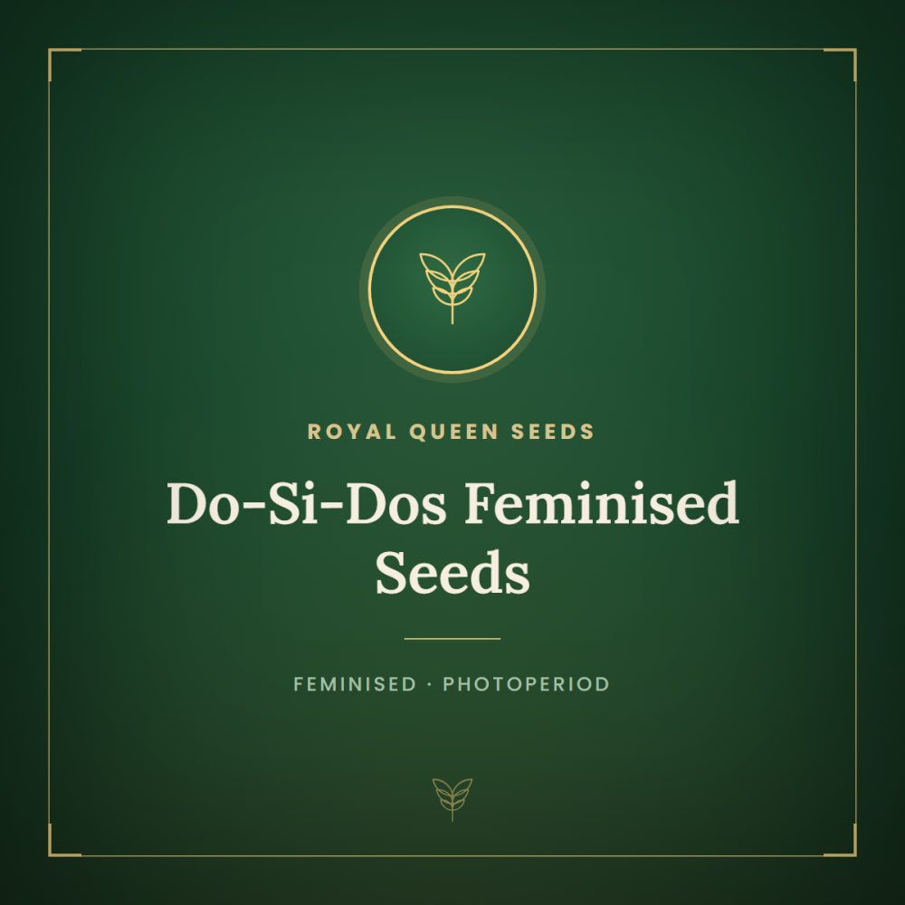 RQS-DOSD-FEM-1000x1000-0.png