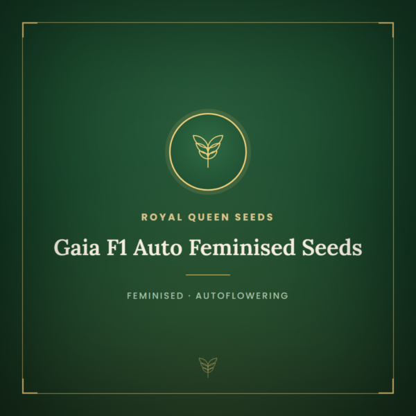 Gaia F1 Auto Feminised Seeds