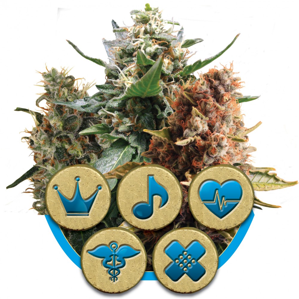 RQS-MDMX-CBD-FEM-1000x1000-0.jpg