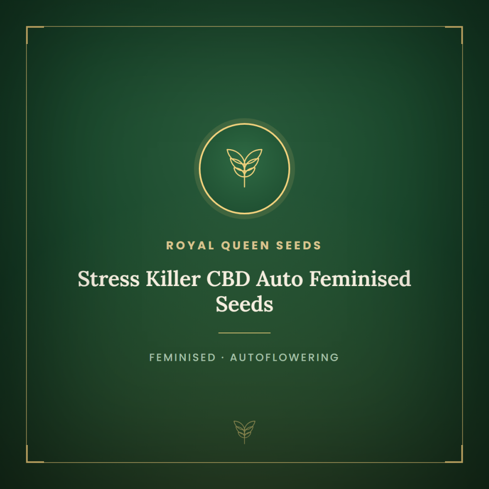 RQS-SK-CBD-AUTO-FEM-1000x1000-0.png