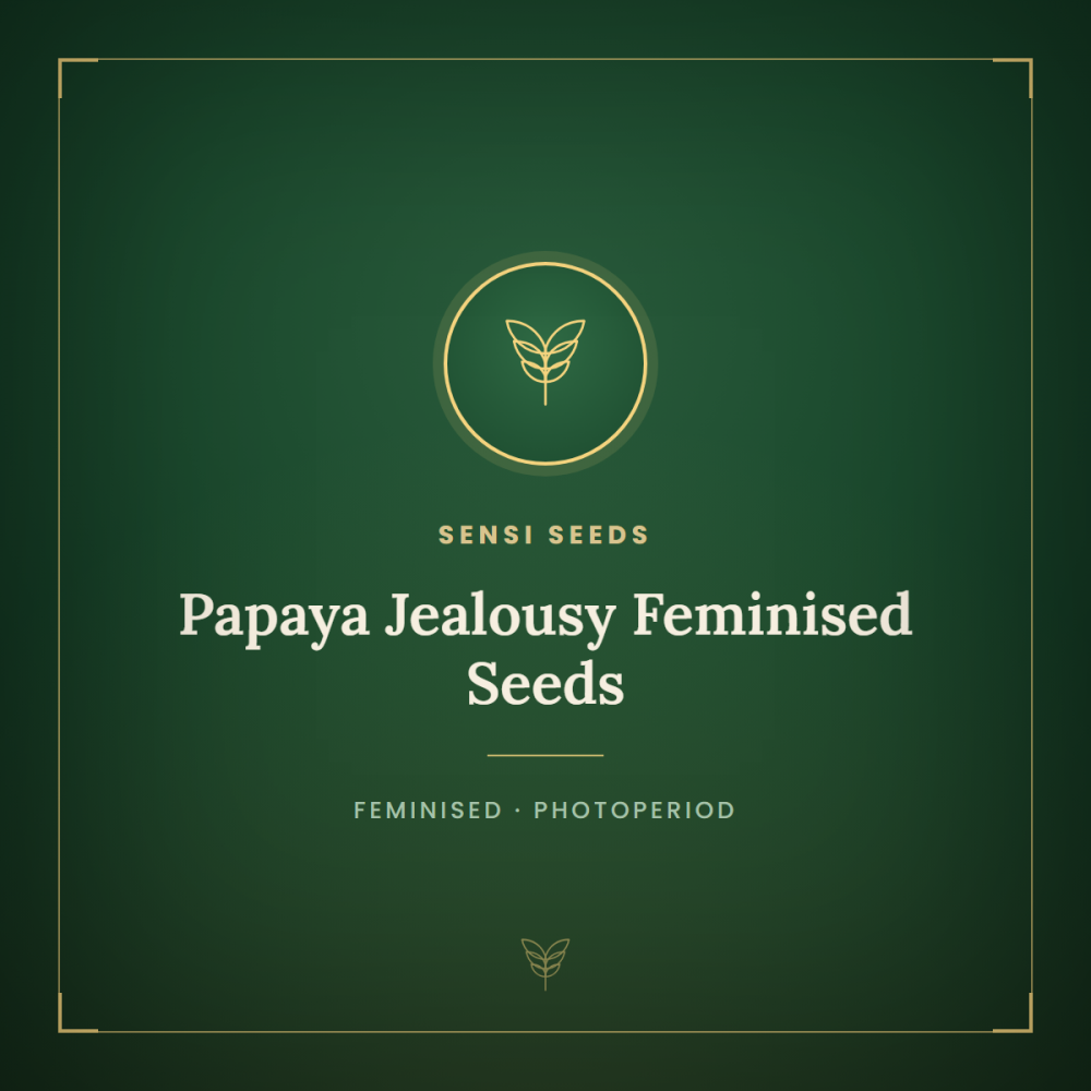 SEN-PAJE-FEM-1000x1000-0.png