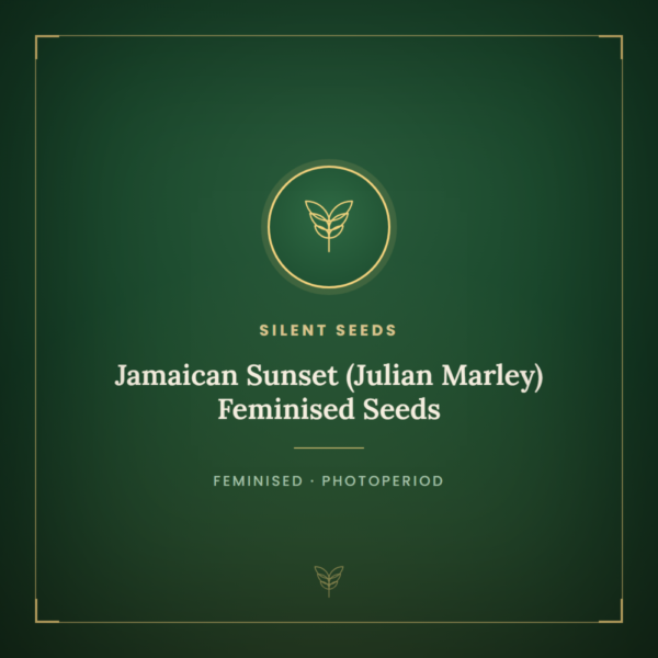 Jamaican Sunset (Julian Marley) Feminised Seeds