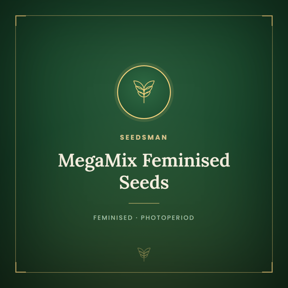 SMAN-MEGMIX-FEM-1000x1000-0.png
