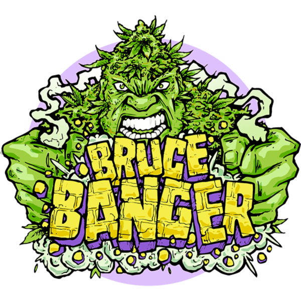 Bruce Banger Fast Feminised Seeds