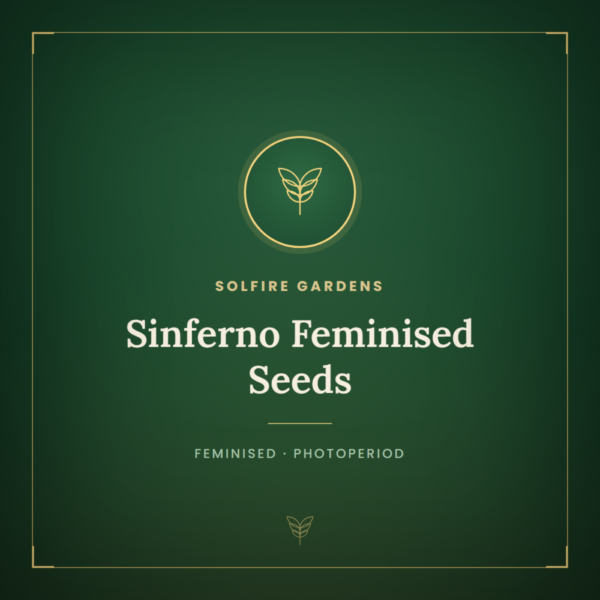 Sinferno Feminised Seeds