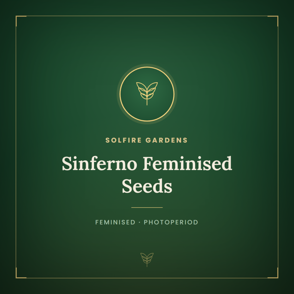 SOL-SINF-FEM-1000x1000-0.png