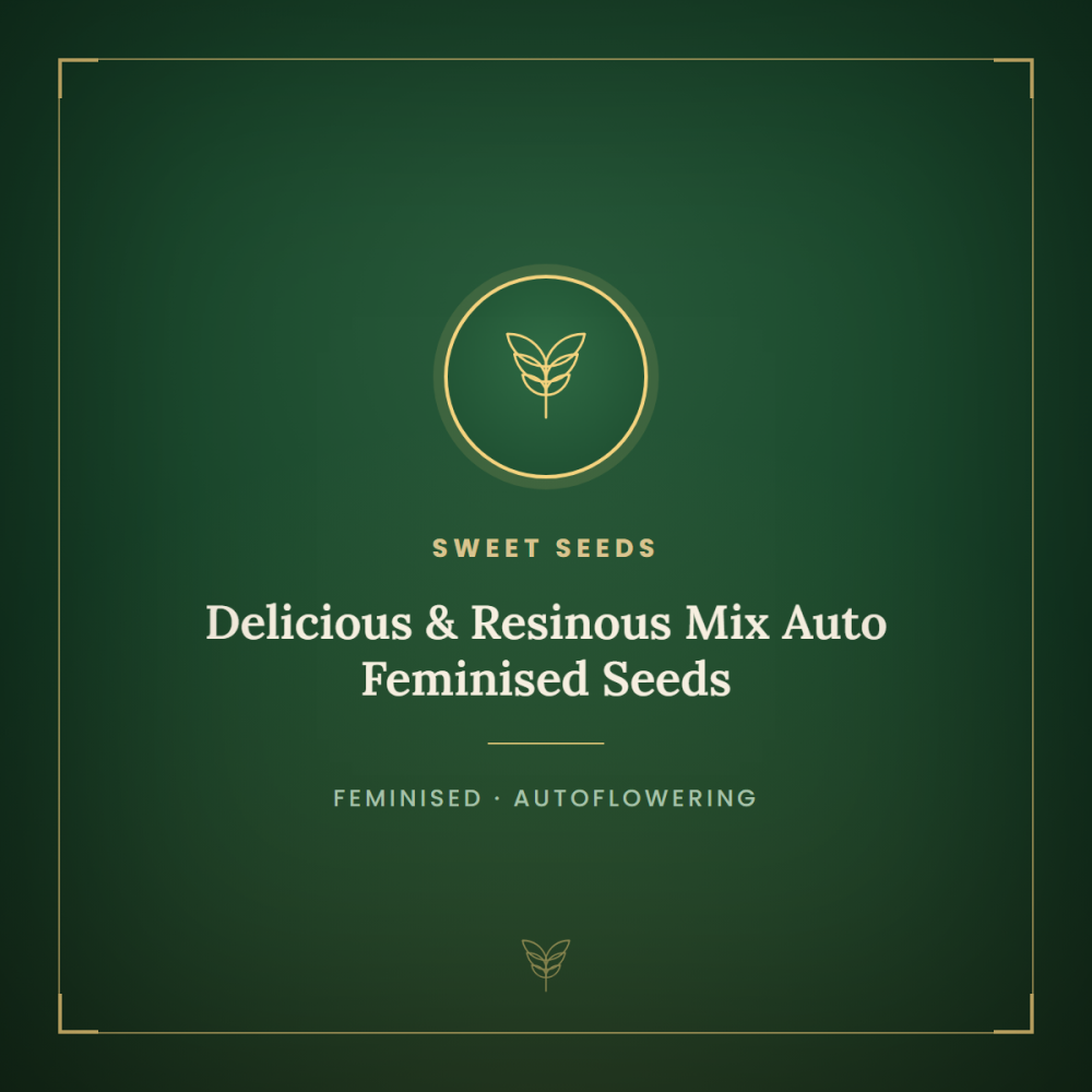 SS-DERE-MIX-AUTO-FEM-1000x1000-0.png
