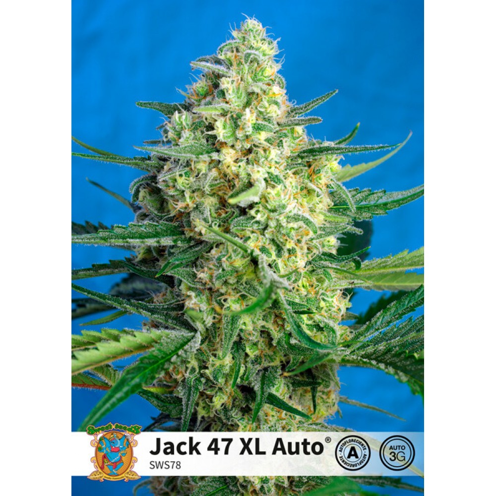 SS-J47XL-AUTO-FEM-1000x1000-0.jpg