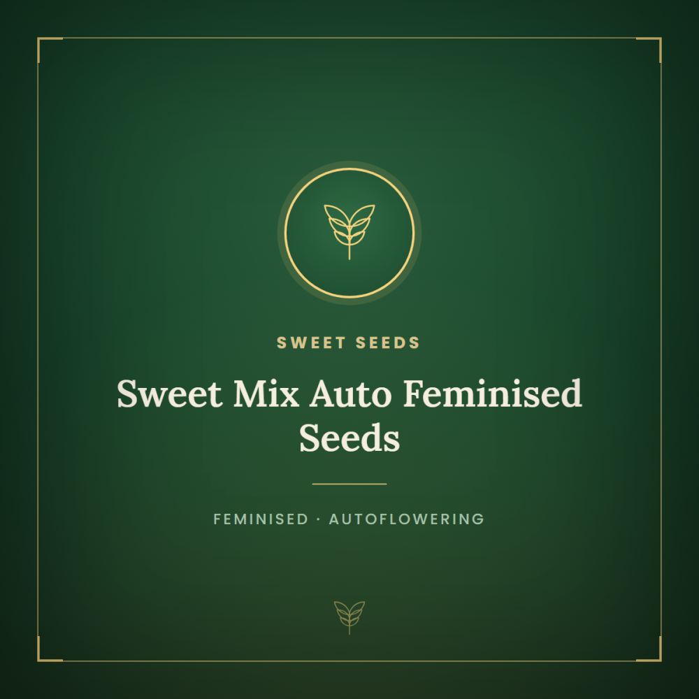 SS-MIXA-FEM-1000x1000-0.png