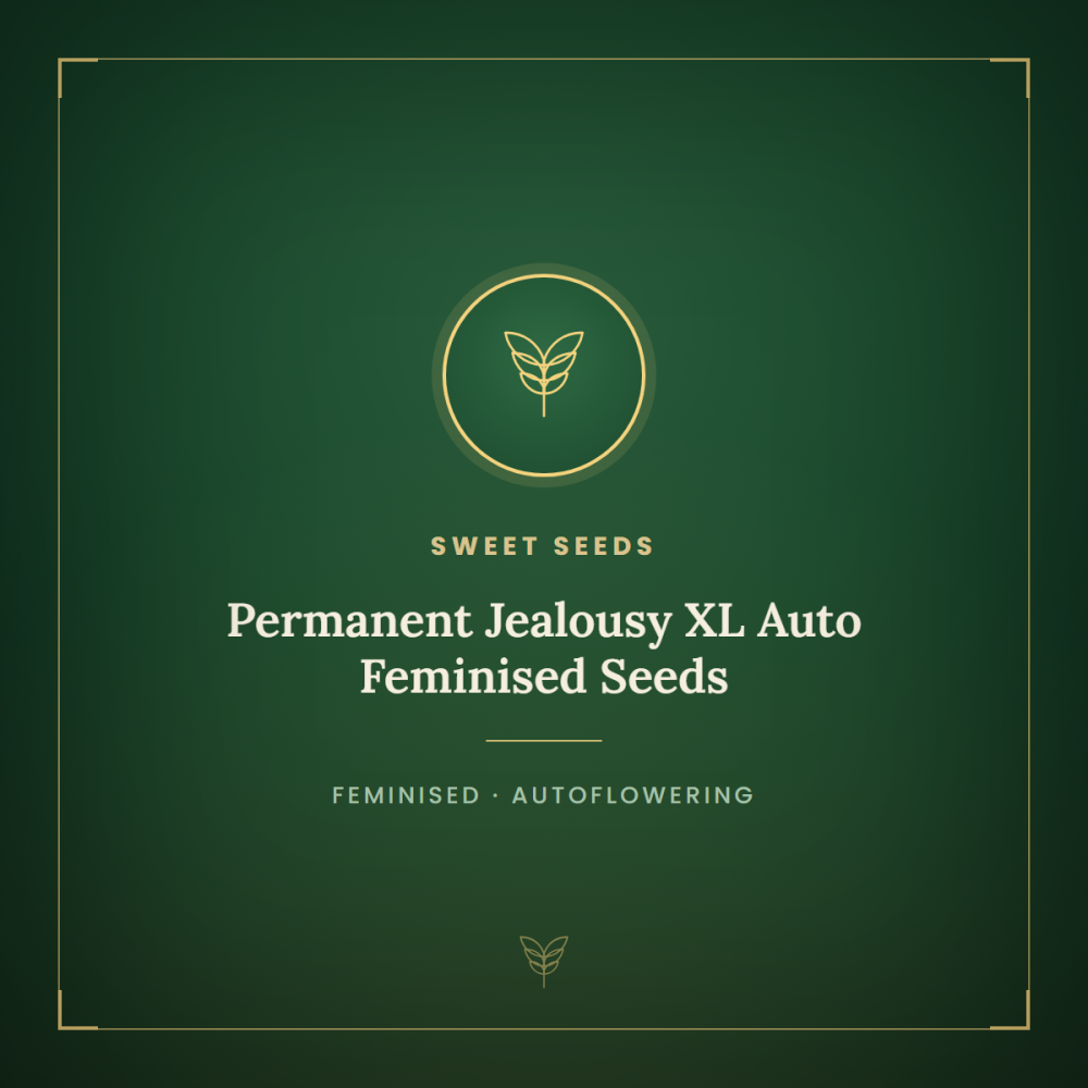 SS-PEJEXL-AUTO-FEM-1000x1000-0.png