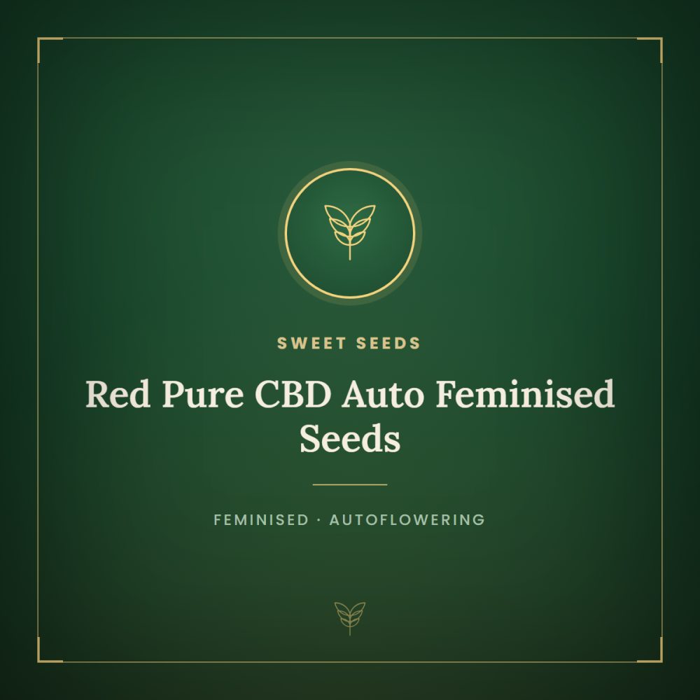 SS-REDP-CBD-AUTO-FEM-1000x1000-0.png