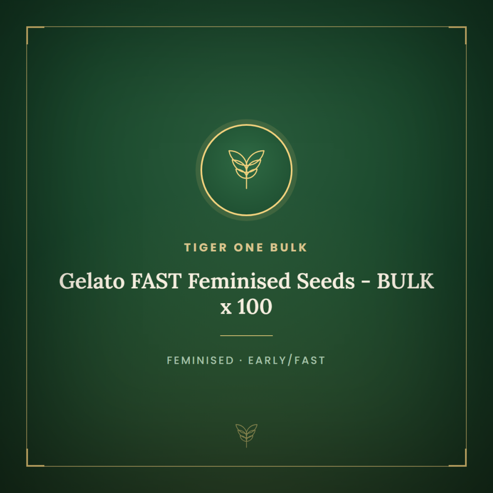T1-GEL-FAST-BULK-FEM-1000x1000-0.png