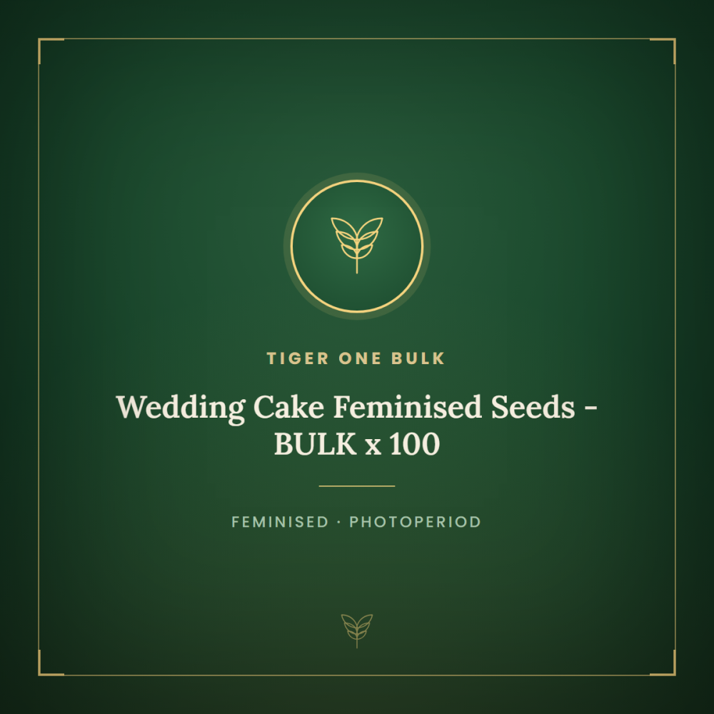 T1-WCXOGK-BULK-FEM-1000x1000-0.png