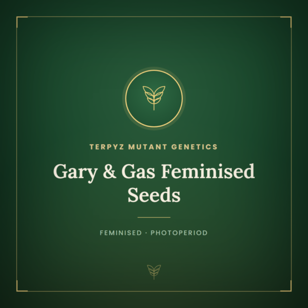 Gary & Gas Feminised Seeds