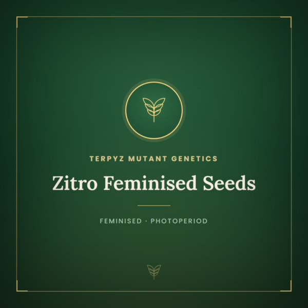 Zitro Feminised Seeds