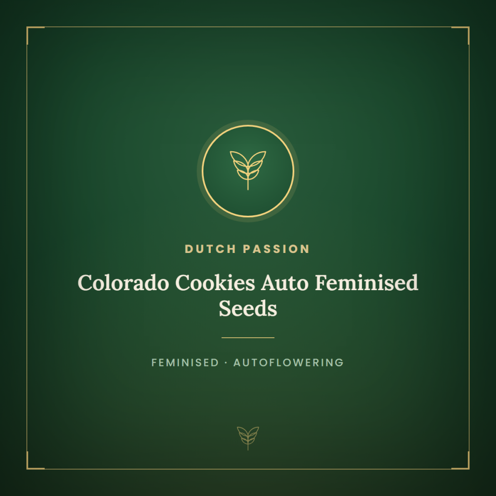 dp-auto-colorado-cookies-1000x1000-0.png
