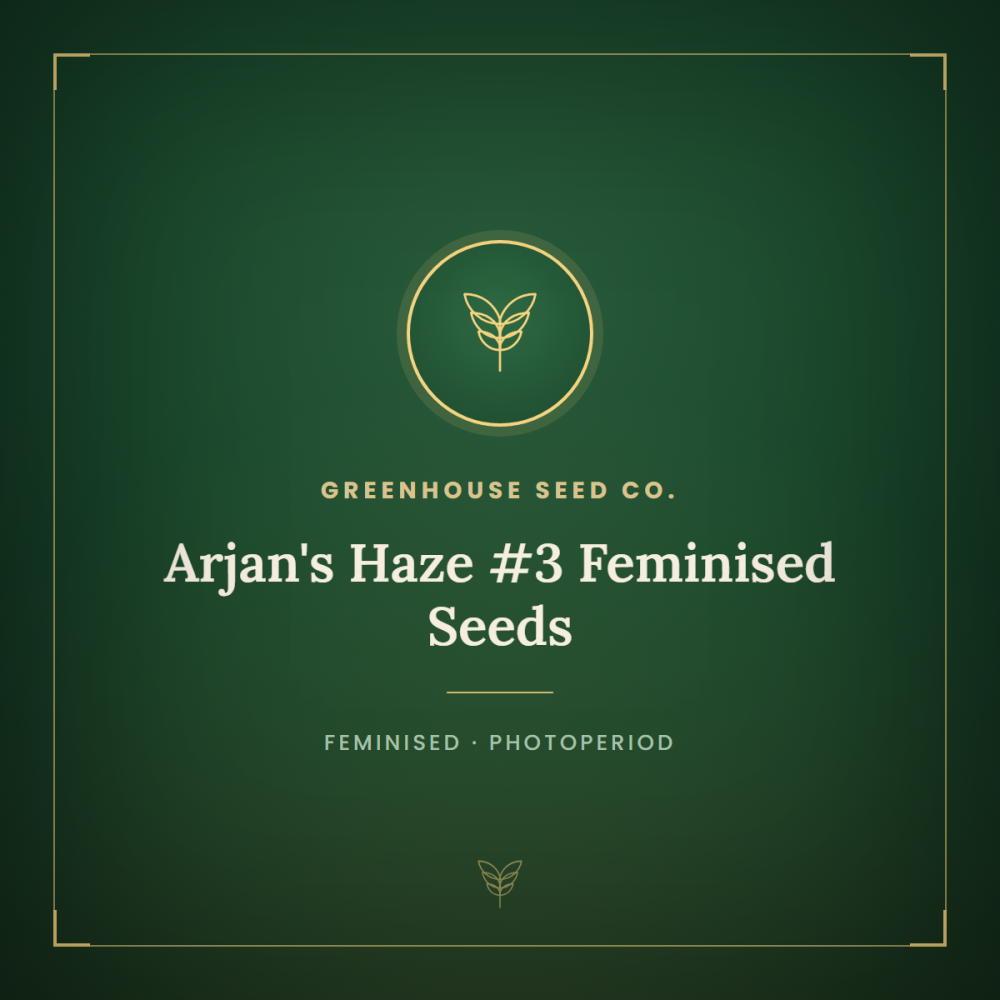 gh-arj-haze-3-1000x1000-0.png