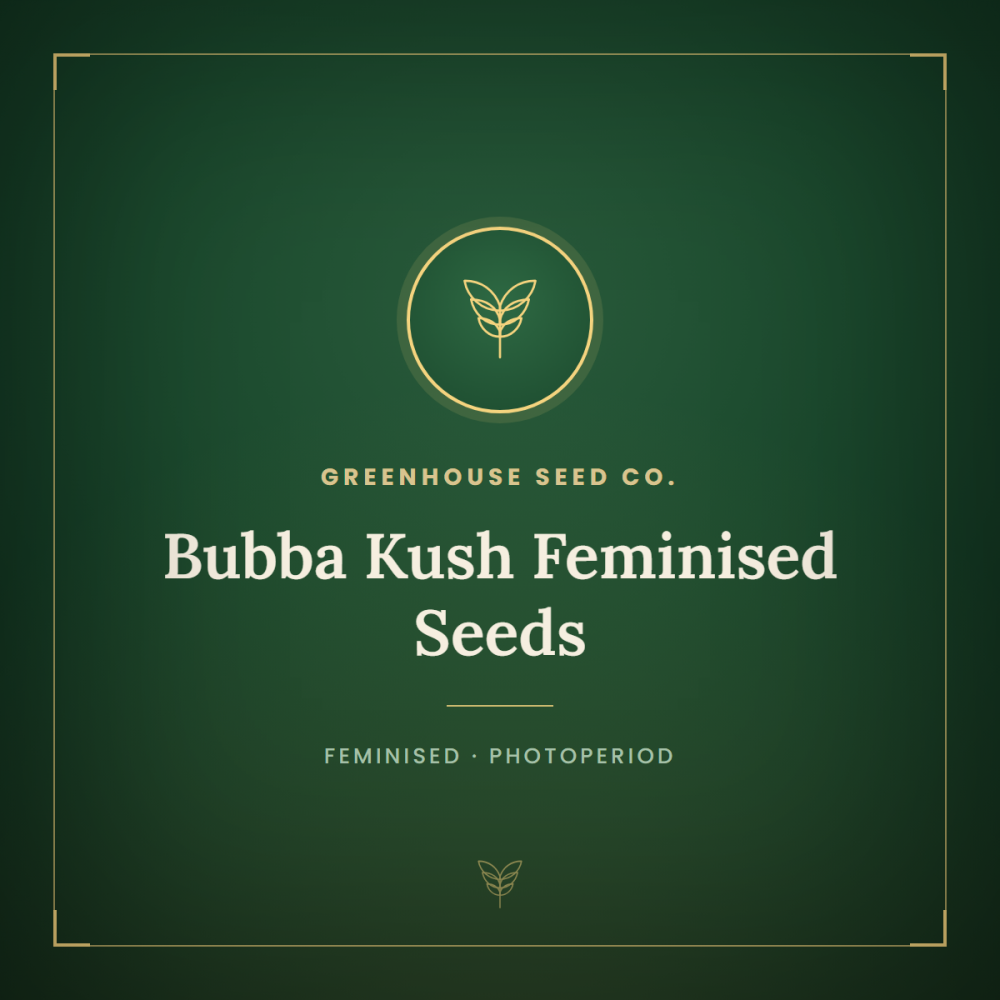 gh-bub-kush-1000x1000-0.png
