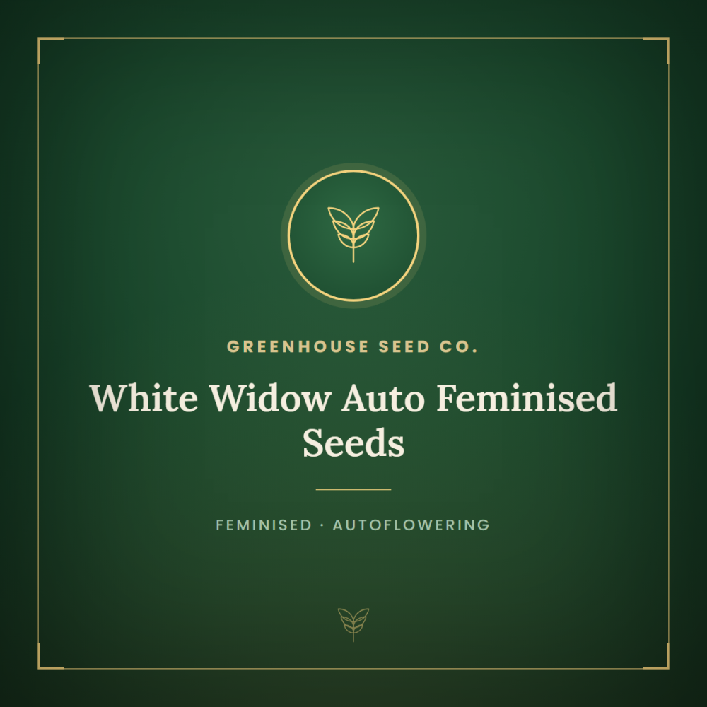 gh-white-widow-auto-1000x1000-0.png